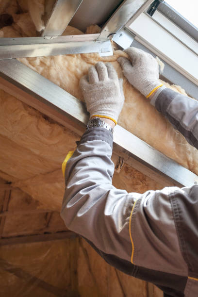 Types of Insulation We Offer in Palacios, TX